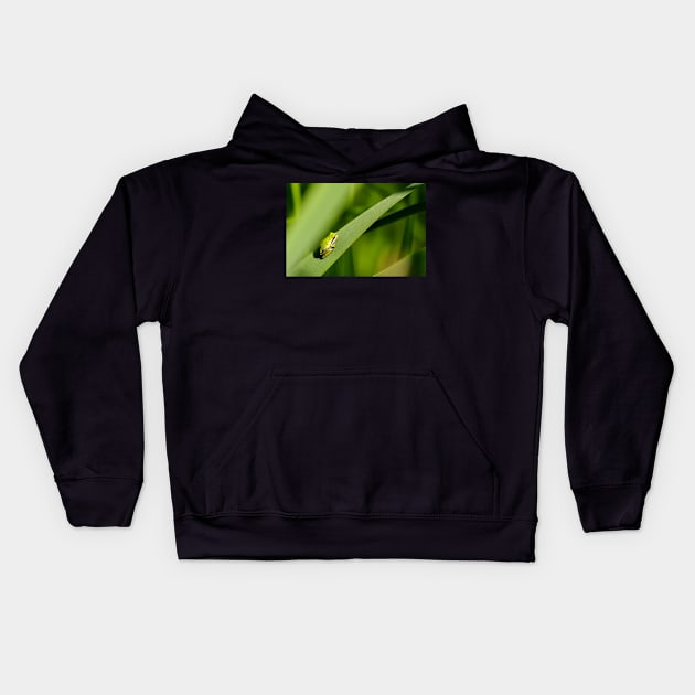 It ain’t easy being green Kids Hoodie by SandiLin